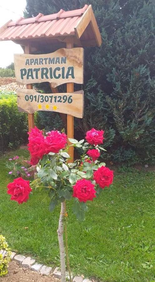 Apartman Patricia Apartman Fužine Kültér fotó